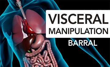visceral manipulation - Barral
