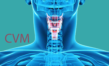مانور فضای وایزر کریکوتایروئید