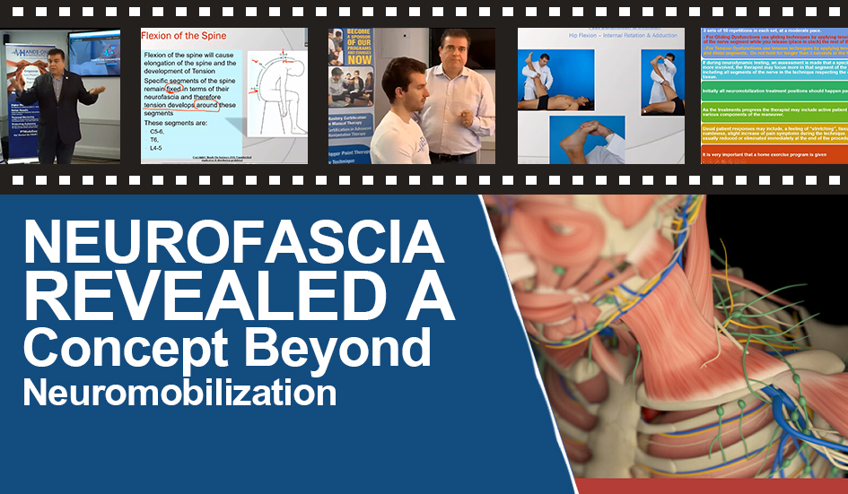 NEUROFASCIA REVEALED A Concept Beyond Neuromobilization