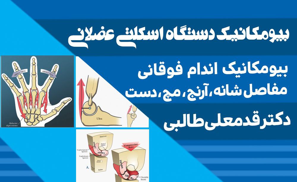 بیومکانیک اندام فوقانی