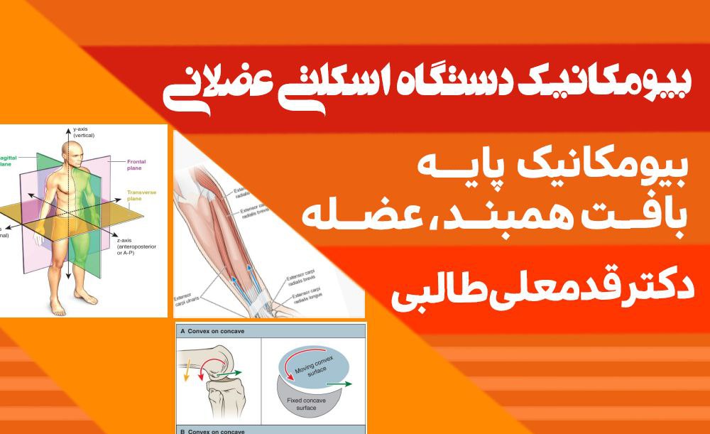 بیومکانیک پایه