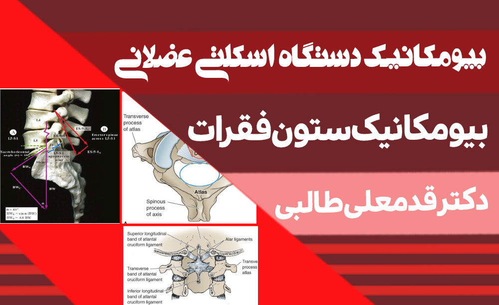 بیومکانیک ستون فقرات
