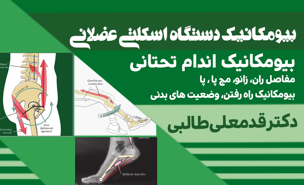 بیومکانیک اندام تحتانی