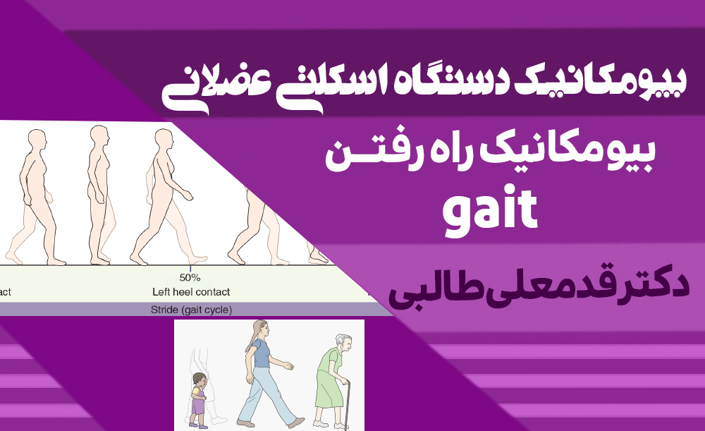 بیومکانیک راه رفتن