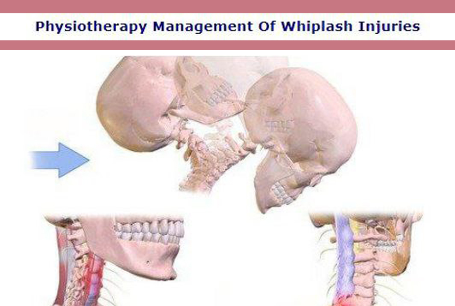 ارزیابی آناتومی گردن