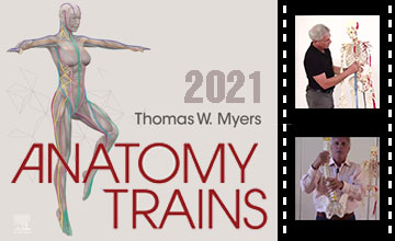 Anatomy Trains